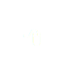  8